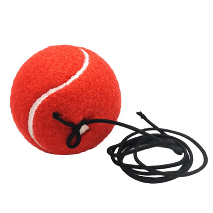 Boxing Reflex Ball